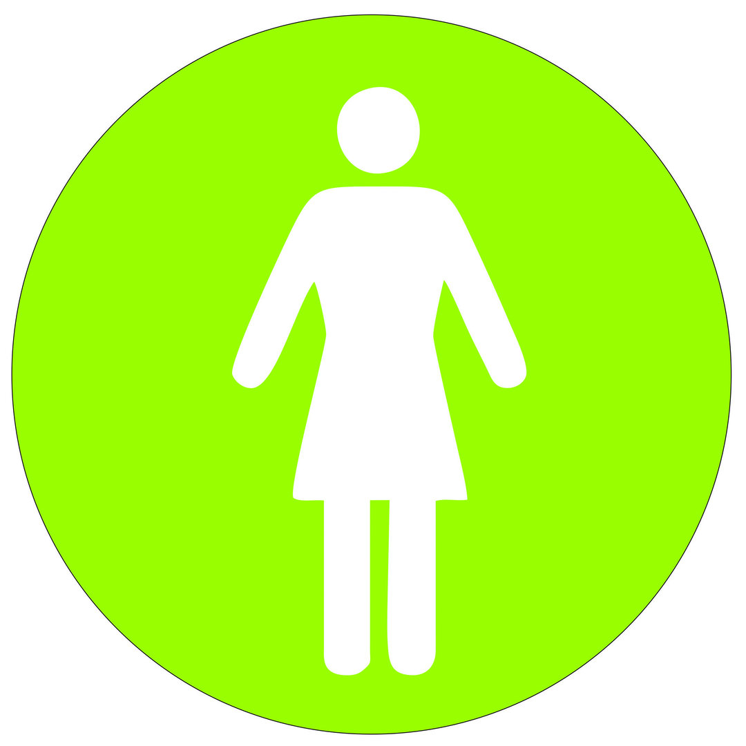 Türschild aus Plexiglas "WC Damen" Grün / Weiss
